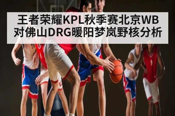 王者荣耀KPL秋季赛北京WB对佛山DRG暖阳梦岚野核分析